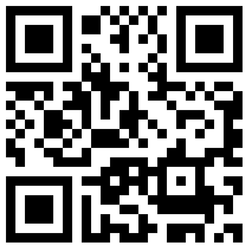 QR code max